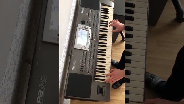 DULCE-I VINUL | Дулче Винул на синтезаторе korg pa 60 смотреть онлайн