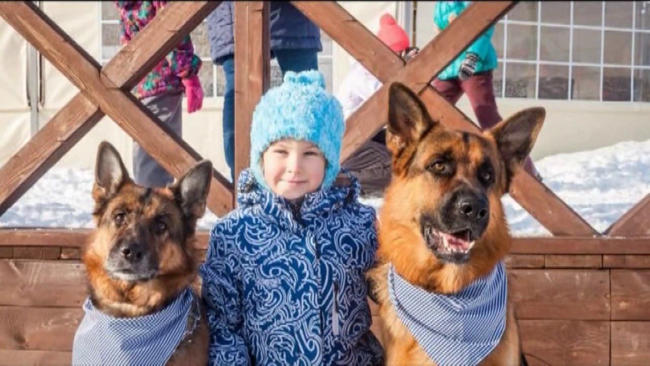 Благотворительная фотосессия «Добрый пёс» в поддержку маленькой Ульяны Гертель состоялась в Барнауле