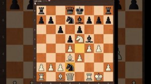 Дебют Берда. Без страха, без компромисса!