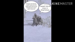 / Комикс/ Хранители волков 2 часть