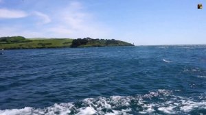 Зажигательная  латиноамериканская музыка 2021& Mike Leite   Vacaciones&