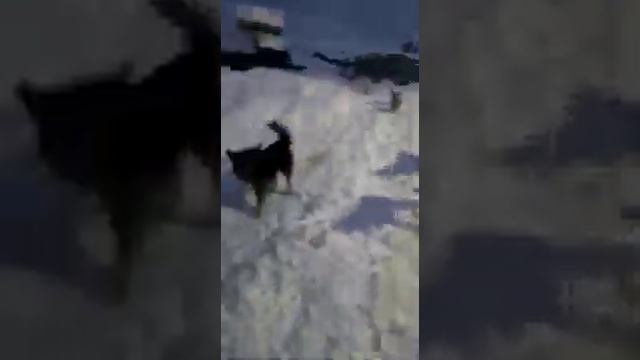 снежное состояние улицы Плотинной (п. Поляково) города Холмск