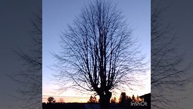 Вечереет ✨✨✨