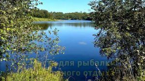 Деревня Вертково. 66 км от МКАД по Новорижскому шоссе. Старт продаж!