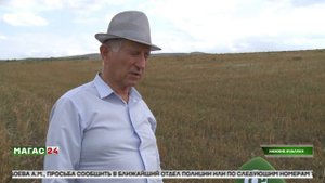 В Ингушетии в текущем году ожидают снижения урожая льна из-за засухи.