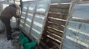 В ДЕРЕВНЕ ПРОСТООЛЕЖКИНО, Ташкентский парень с Урала НОВОСТИ О ЖИЗНИ (?)