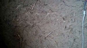 Саман на шпалу. Ни какого запаха криазота не слышно