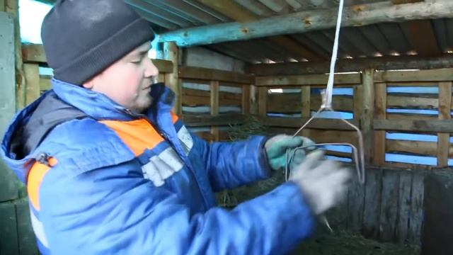 Подвес для кур