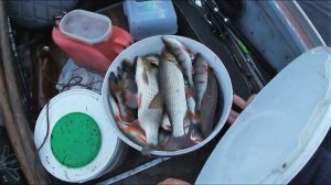 ОКУНЁВЫЙ КЛОНДАЙК \ ПРОВЕРКА ПРОДОЛЬНИКОВ \ РЫБАЛКА С МАЗАЕМ \ Часть 2