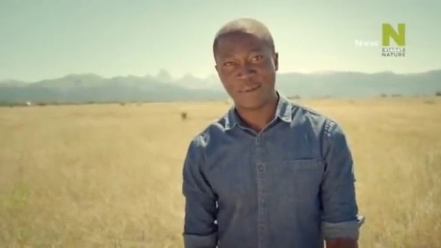 Удивительное семейство псовых 2 смотреть онлайн