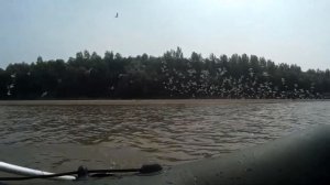 Сплав по Иртышу без Конюхова Ф.Ф. 2019 г. Fantasy Club