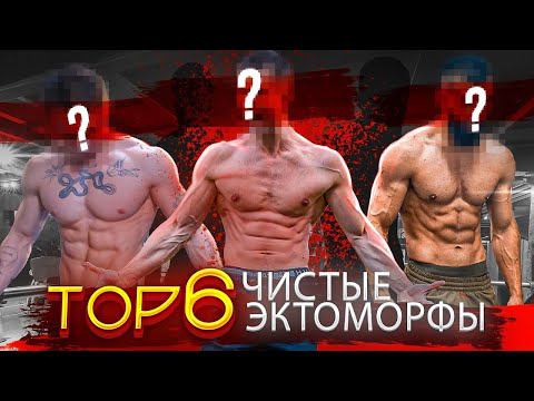 ТОП 6 | Фитнес-Блогеры Чистые Эктоморфы! (Характеристики Эктоморфа)