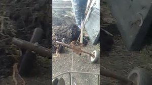Самодельная лебедка к пиле штиль, насадка, пашем
