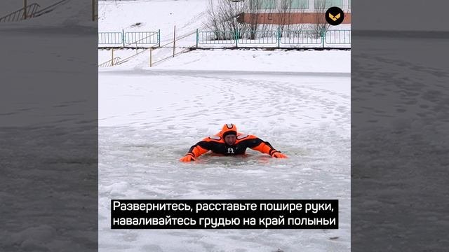 Как выбраться из полыньи самостоятельно