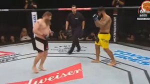 Антонио Сильва vc Рой Нельсон UFC Fight night 95