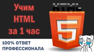 КАК ОСВОИТЬ ЯЗЫК HTML ЗА ЧАС? СМОТРИ И УЧИСЬ ПОКА НЕ ПОЗДНО!