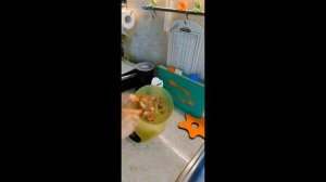 ппменю моего дня