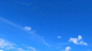 FMS 1280mm Easy Trainer V2 – The Ultimate Beginner's Plane?