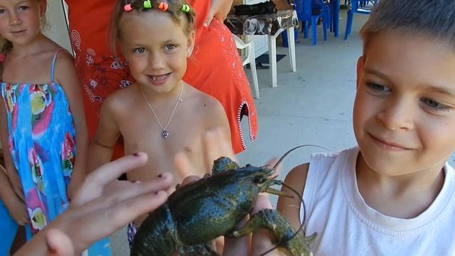 Настоящий Живой рак смотреть онлайн