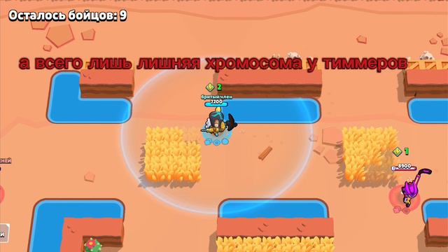 Не ну рил смотреть онлайн