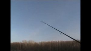 Рыбалка в Сузуне. Трофейная щука, рыбалка на реке Обь.