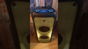 Портативная колонка Eltronic 20-56