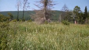 Сплав по рекам Купа, Кута и Лена