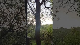 Ливень с грозой после обеда 21 мая 2022. Погода в Краснодоне.