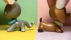 LPS: Little me (music video) for 600+ subscribers