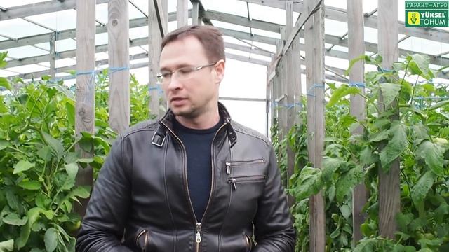 ТОМАТ. В гостях у Михаила Геннадьевича. 2 октября 2017 года