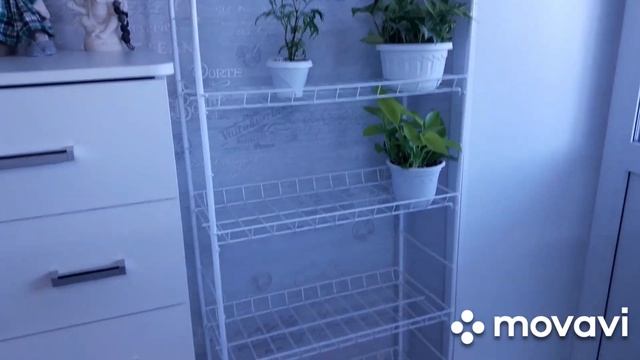 КОМНАТНЫЕ РАСТЕНИЯ(ЦВЕТЫ).ОБЗОР НОВОГО СТЕЛЛАЖА ИЗ МАГАЗИНА "СВЕТОФОР".ПОКУПКИ ДЛЯ РАСТЕНИЙ.
