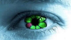 Какой у вас номер аськи? Телефонный прикол. Пранк