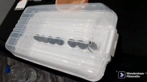 Проращивание семян в минеральной вате.