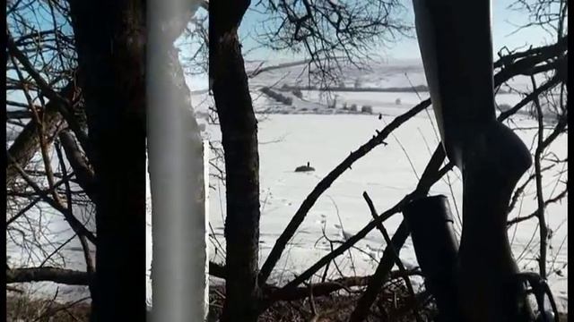 Электронный манок из Bluetooth колонки. смотреть онлайн