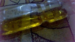 Как избавиться от мышей в частном доме навсегда