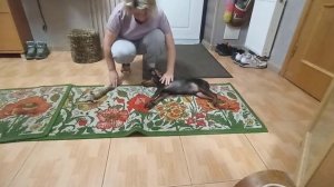 Фиксация из возбуждения