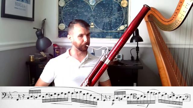 Milde Concert Studies for Bassoon no 17 смотреть онлайн