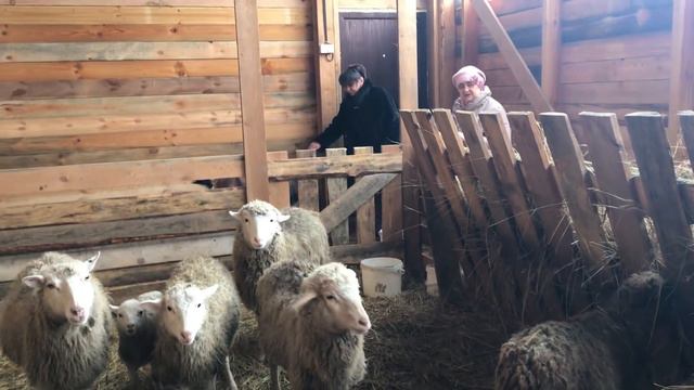Приехали гости с хутора. Она это сделала. Мама открыла свой канал. Хутор мамы Ларисы..