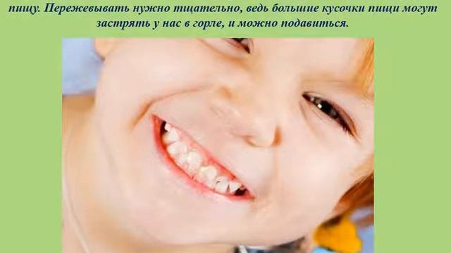 Анатомия для детей. Пищеварение.