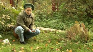 Дизайн цветников. Подготовка цветника к зиме. Часть 12