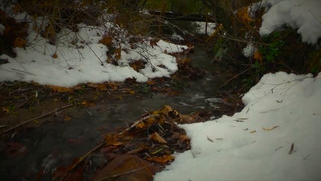 Нина Разумейчик - Гроздья калины (Official Video, 2023) смотреть онлайн