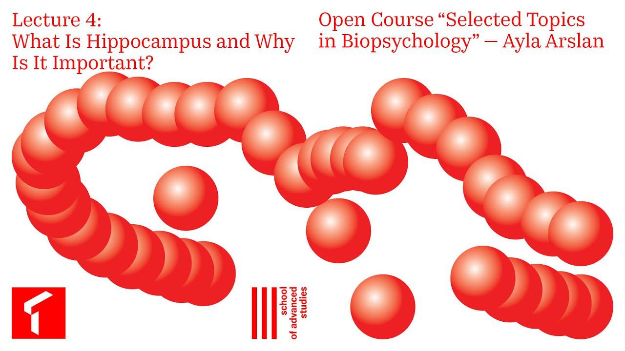 Selected Topics in Biopsychology — Open Course, Lecture 4 | SAS Online |