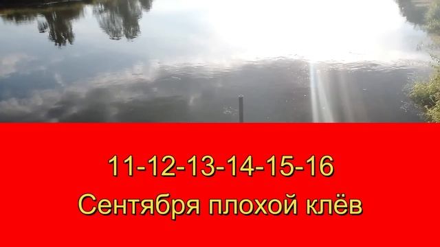 Календарь рыбака на Сентябрь Прогноз клева рыбы на неделю Лунный Календарь рыбака 2023