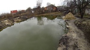 Выращивание карпа в маленьком пруду возле дома, эксперимент. ч12.