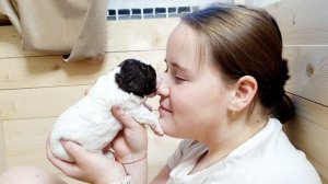 Щенки и дети.mp4