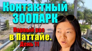 Никто не знает этот контактный зоопарк в Паттайе. Кормим черепах бананами. Слоны, зебры и капибара