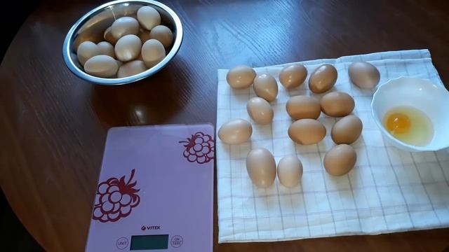 Черные курицы занеслись!!! УРА!!!✌✌✌ смотреть онлайн