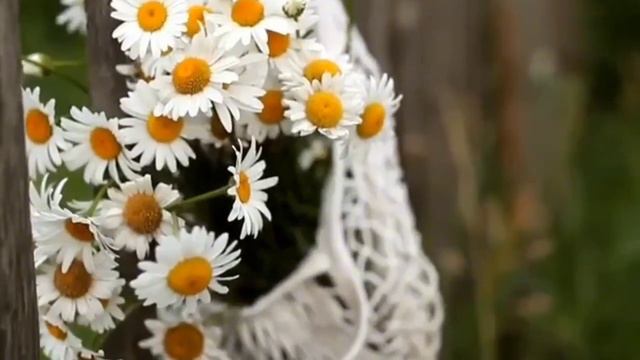 Песня "Я одену душу в нежность" (Слова - Александра Степаненко, муз./исп. - Мария Нарожных)