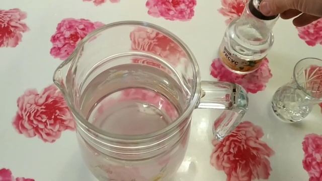 Портулак - Полезная закуска (Портулак огородный) смотреть онлайн