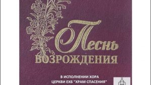 Наша жизнь коротка словно птицы полёт